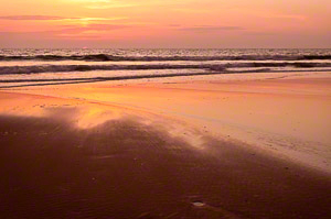 Emergence (c) Margo Taussig Pinkerton