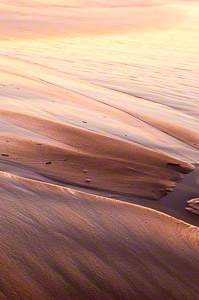 Sunrise Patterns (c) Margo Taussig Pinkerton