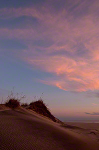 Seaside Patterns (c) Margo Taussig Pinkerton