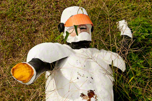 Untitled (c) Arnold Zann