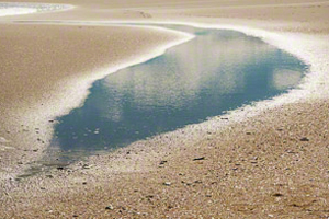 Tidal Reflections (c) Margo Taussig Pinkerton