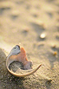 Poised (c) Margo Taussig Pinkerton