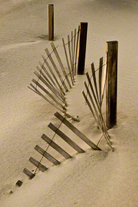 Fence Dance (c) Margo Taussig Pinkerton