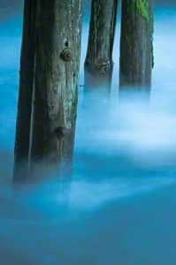 Misty Pilings (c) Margo Taussig Pinkerton