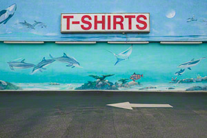 Untitled (c) Arnold Zann