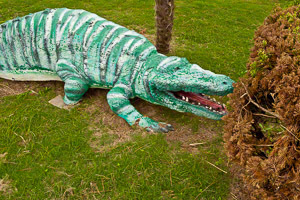 Untitled (c) Arnold Zann