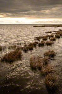 After the Rain (c) Margo Taussig Pinkerton